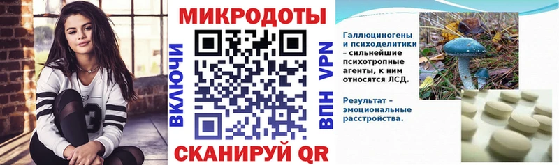 Псилоцибиновые грибы Cubensis  Старый Крым 